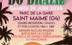 FESTA DO BRASIL #3