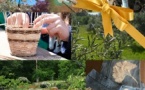 Les journées d'initiation du Parc naturel régional du Luberon à la Thomassine à Manosque Les journées d'initiation du Parc naturel régional du Luberon à la Thomassine à Manosque