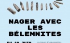 Exposition Temporaire "Nager avec les bélemnites"
