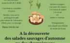 BALADE BOTANIQUE