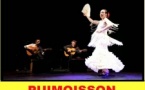 Flamenco "Artesano y Caminando"