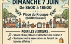 Grand vide grenier de l'AOAHP Grand vide grenier de l'AOAHP