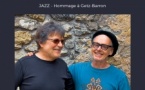 DUO PAILLARD-GENOUX, jazz Brésil
