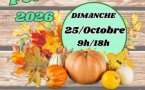 Fête de la courge