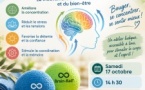AFDC ATELIER BRAIN BALL