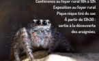 FETE DE LA NATURE - Les araignées