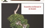 Exposition "Porte Ouverte" Bonsaï Exposition "Porte Ouverte" Bonsaï