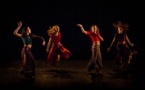 Spectacle de danses métissées Spectacle de danses métissées