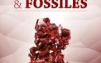 22e salon des Minéraux et Fossiles,