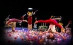 Spectacle de cirque familial La 8ème balle