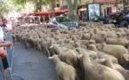 FÊTE DE LA TRANSHUMANCE FÊTE DE LA TRANSHUMANCE