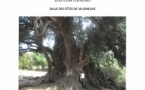 Les oliviers et les huiles d'olive en Méditerranée