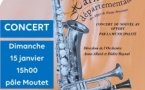 Concert - Harmonie Départementale des Alpes-de-Haute-Provence Concert - Harmonie Départementale des Alpes-de-Haute-Provence