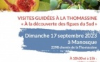 Visites guidées et dégustations "A la découverte des figues du Sud" gratuit Visites guidées et dégustations "A la découverte des figues du Sud" gratuit