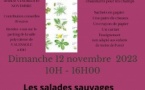 BALADE BOTANIQUE