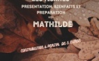 Causerie botanique