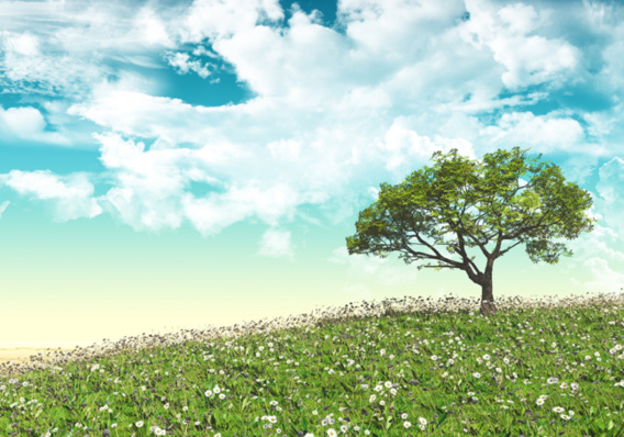 La fête de la nature La fête de la nature