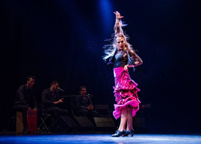 7ème CookSound festival 7ème CookSound festival