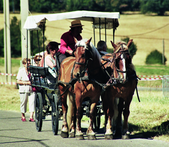 Rendez-vous pour la 19ème Fête des Moissons
