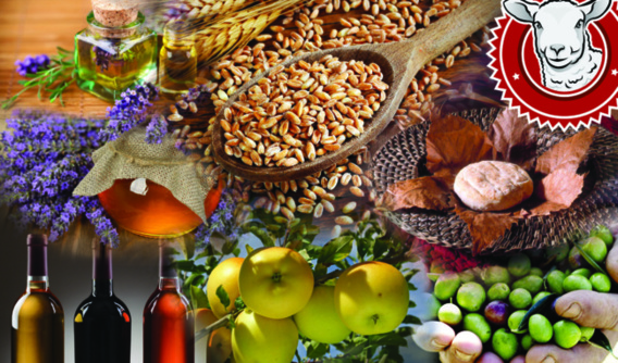 Fêtez la Gastronomie dans les Alpes de Haute Provence