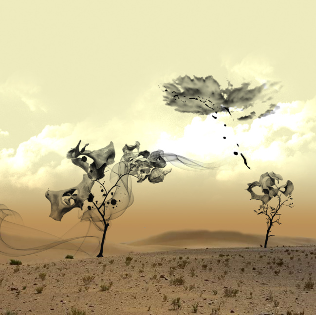 Erwan Marolleau, pionnier de l’art numérique Erwan Marolleau, pionnier de l’art numérique