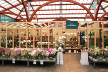 Tout nouveau, tout beau (bio) le Botanic Manosque Tout nouveau, tout beau (bio) le Botanic Manosque