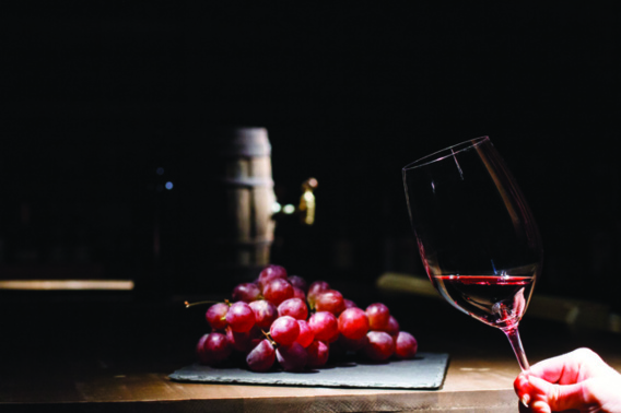 Salon des vins et de la gastronomie à Gréoux