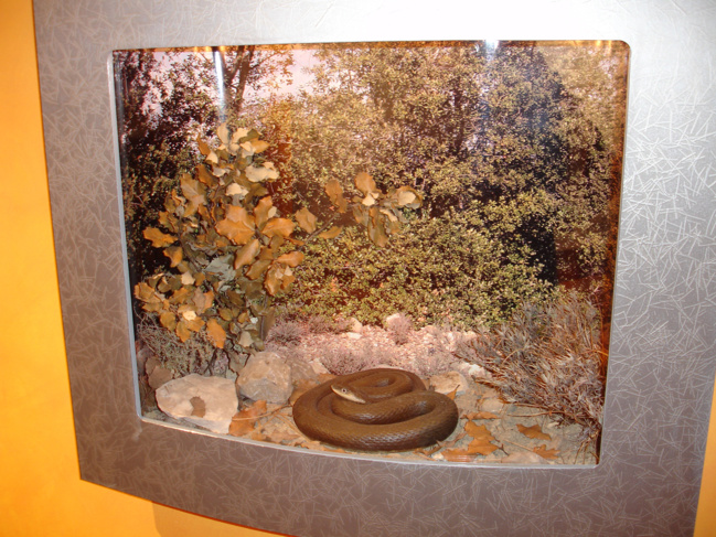 « Qu’est-ce qu’on fait des enfants pendant les vacances de Pâques ? » « Qu’est-ce qu’on fait des enfants pendant les vacances de Pâques ? »