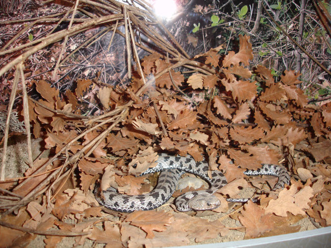 « Qu’est-ce qu’on fait des enfants pendant les vacances de Pâques ? » « Qu’est-ce qu’on fait des enfants pendant les vacances de Pâques ? »
