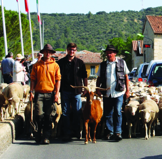 Fête de la Transhumance 2018