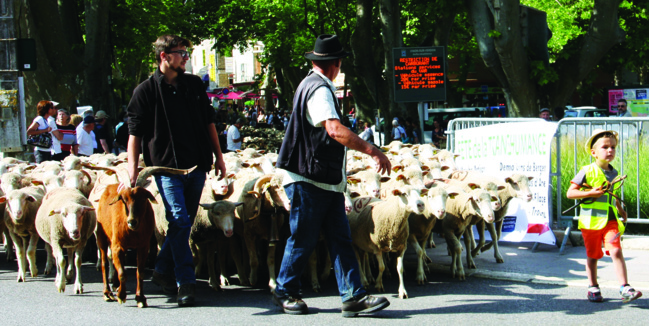 Fête de la Transhumance 2018