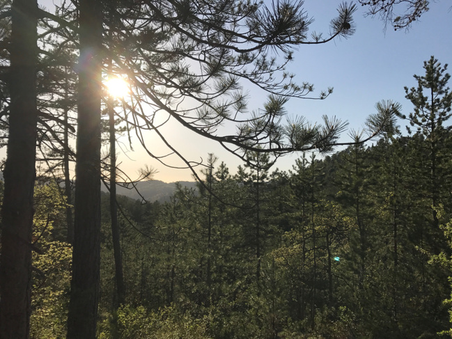 Respecte ma colline Respecte ma colline