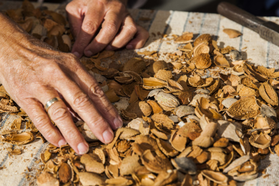 Oraison fête l’Amande Oraison fête l’Amande