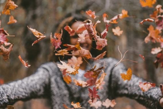 Bien vivre l’automne
