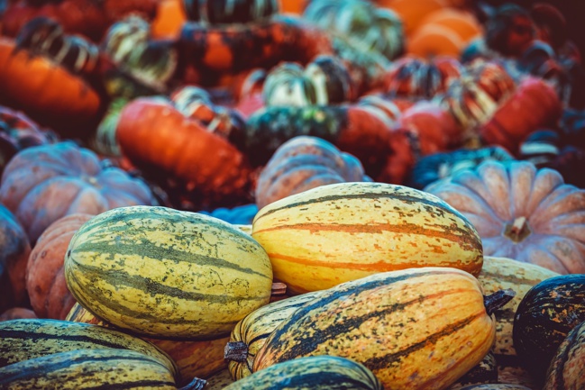 Bien vivre l’automne