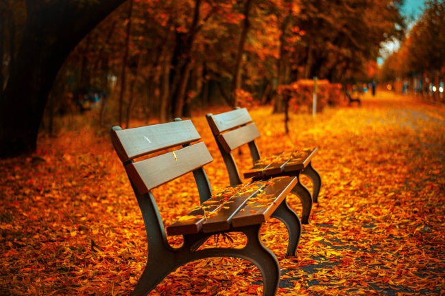 Bien vivre l’automne