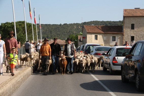 [VINON] Fête de la Transhumance 2019