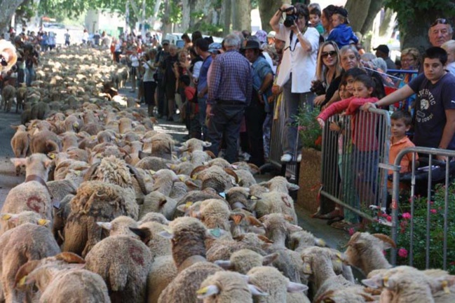[VINON] Fête de la Transhumance 2019