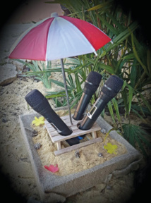  CONCEPT UNIQUE DANS LE DEPARTEMENT : BEACH BOX KARAOKe chantez les pieds dans le sable  !
