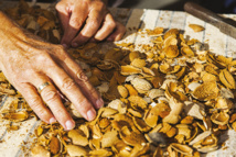 👉 L'Amande est en fête à Oraison ce dimanche 11 Octobre 👉 L'Amande est en fête à Oraison ce dimanche 11 Octobre