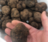 L’Enchanteur à Manosque, l’épicerie qui titille vos papilles ! L’Enchanteur à Manosque, l’épicerie qui titille vos papilles !