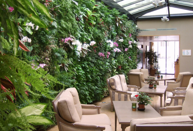 AMÉNAGEMENT EXTÉRIEUR AMÉNAGEMENT EXTÉRIEUR