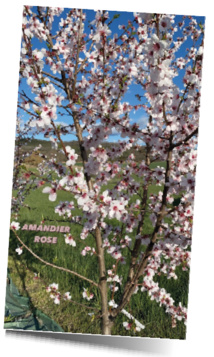 [Amenagement extérieur] Avec Nature&Paysage, optez pour un jardin épatant au Printemps !