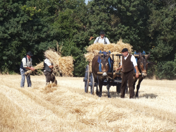 15e Fête des moissons