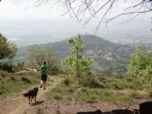 Trail des Collines de Giono