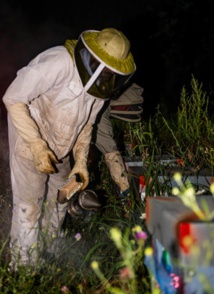 UN AIR DE PRINTEMPS SOUFFLE à LA MJC DE MANOSQUE ! UN AIR DE PRINTEMPS SOUFFLE à LA MJC DE MANOSQUE !