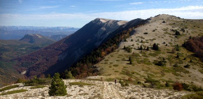 TRAIL DE HAUTE PROVENCE