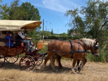 LA 25EME FOIRE PAYSANNE DE LA BRILLANNE REVIENT LE JEUDI 26 MAI