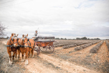LA 25EME FOIRE PAYSANNE DE LA BRILLANNE REVIENT LE JEUDI 26 MAI LA 25EME FOIRE PAYSANNE DE LA BRILLANNE REVIENT LE JEUDI 26 MAI