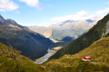 NICOLAS AMOROSO NICOLAS AMOROSO